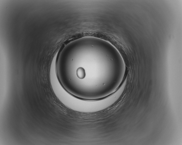 X0000116351252200912091123