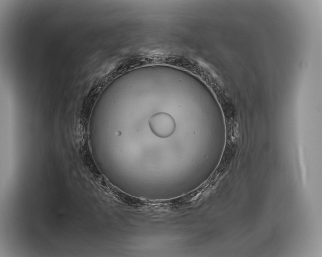 X0000116351253200912091123