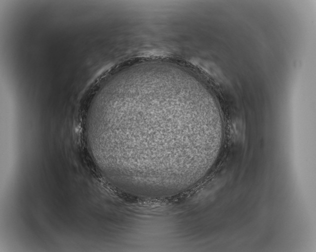 X0000116351254200912091123