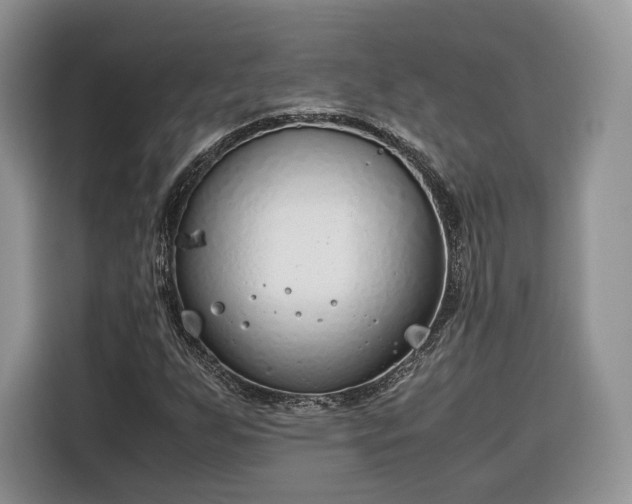 X0000116351255200912091123