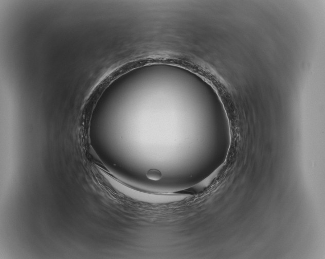 X0000116351256200912091123