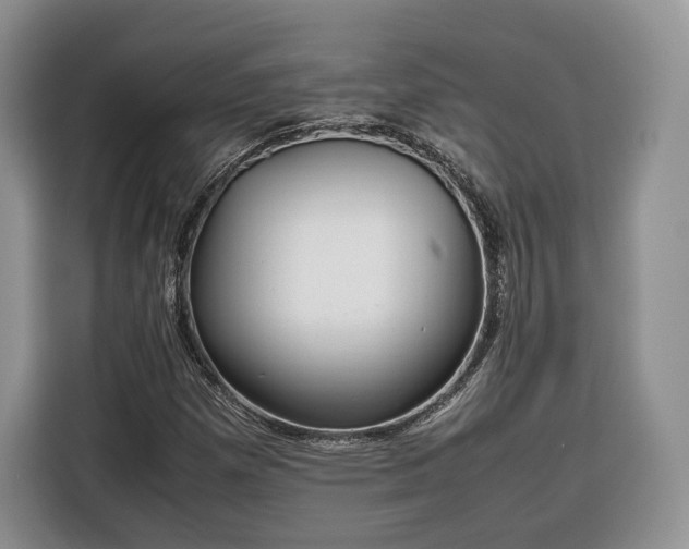 X0000116351257200912091123