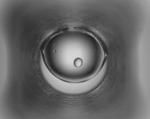 X0000116351261200912091122