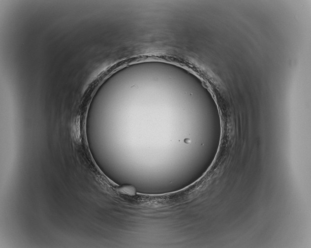 X0000116351262200912091122