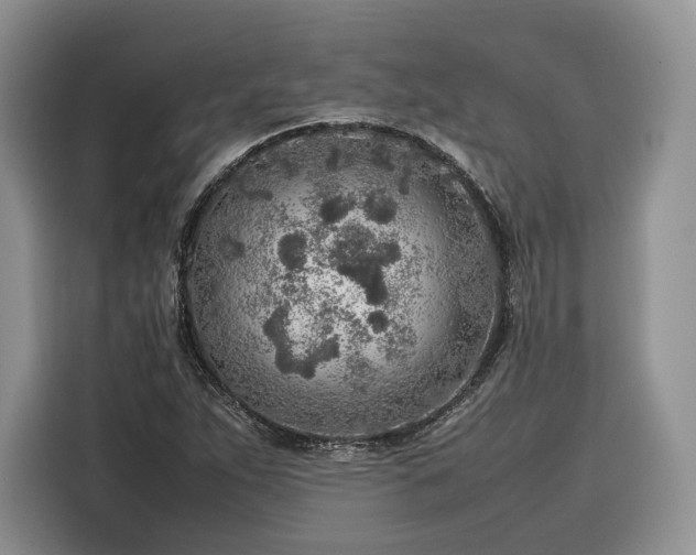 X0000116351263200912091122