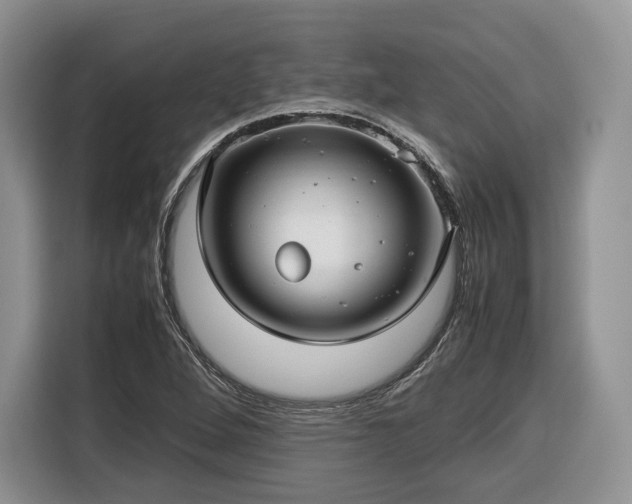 X0000116351264200912091122