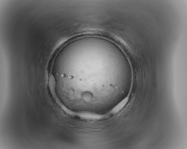 X0000116351267200912091122