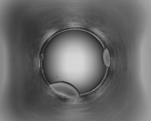 X0000116351269200912091122