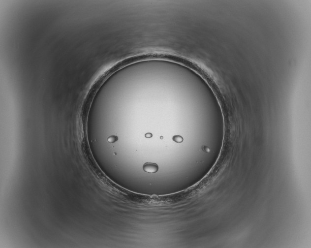 X0000116351271200912091122