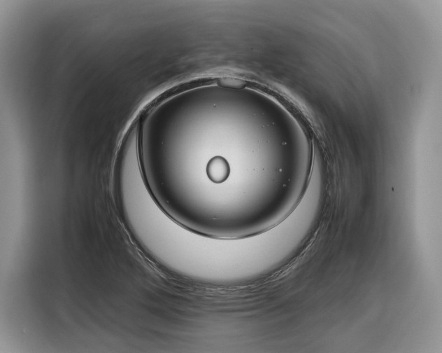 X0000116351272200912091122