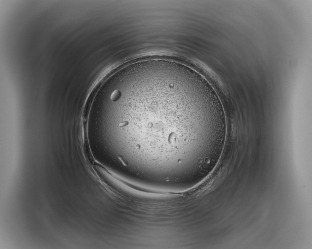 X0000116351274200912091122