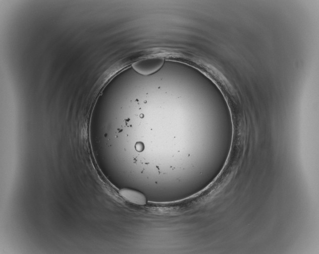 X0000116351281200912091122