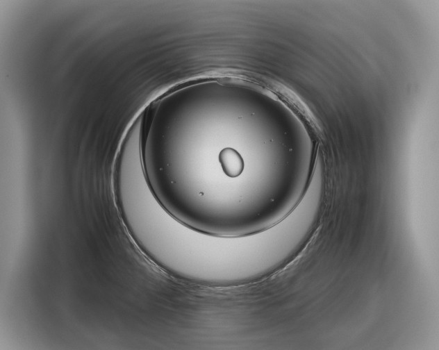 X0000116351284200912091122