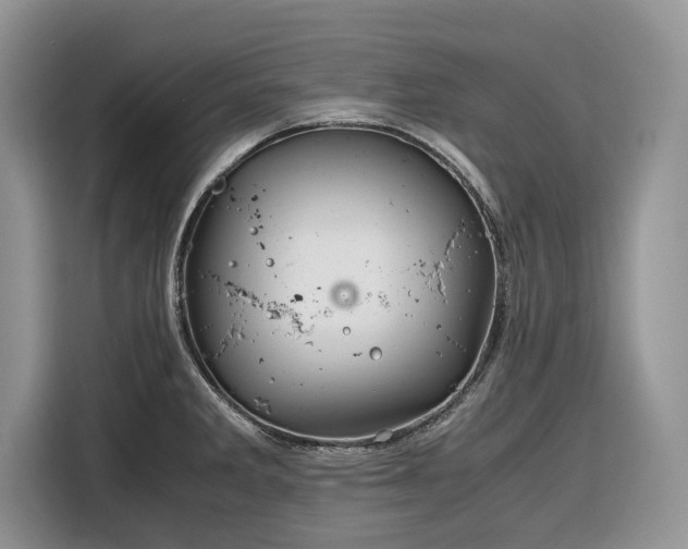 X0000116351285200912091122