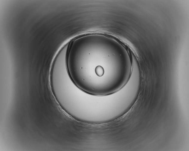 X0000116351288200912091122