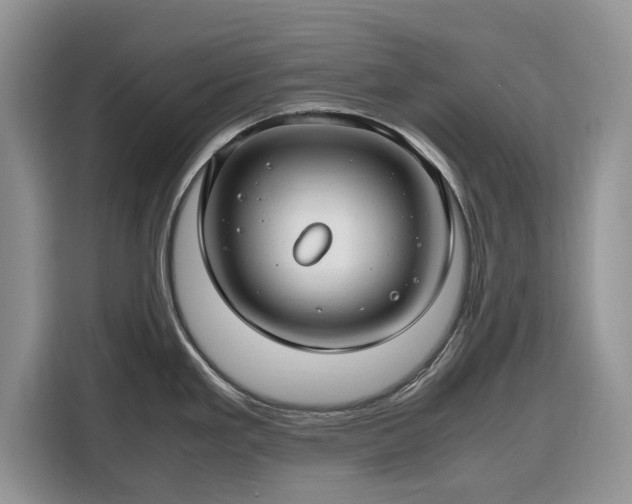 X0000116351293200912091122