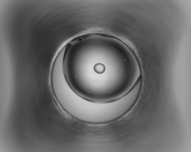 X0000116351296200912091122