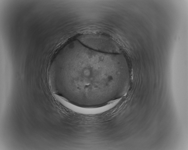 X0000116351297200912091121