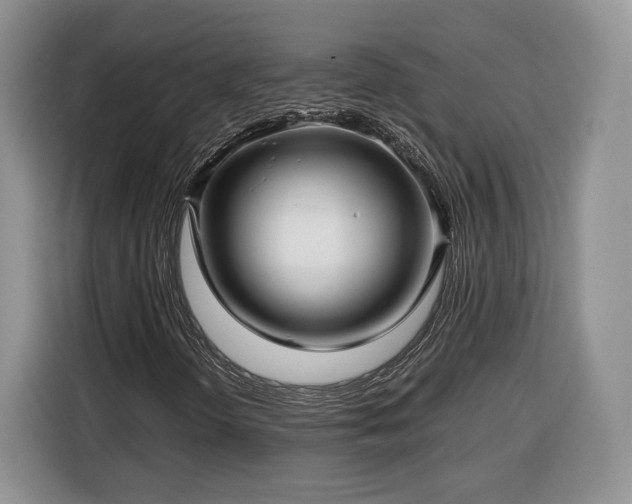 X0000116351298200912091121