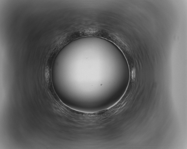 X0000116351299200912091121