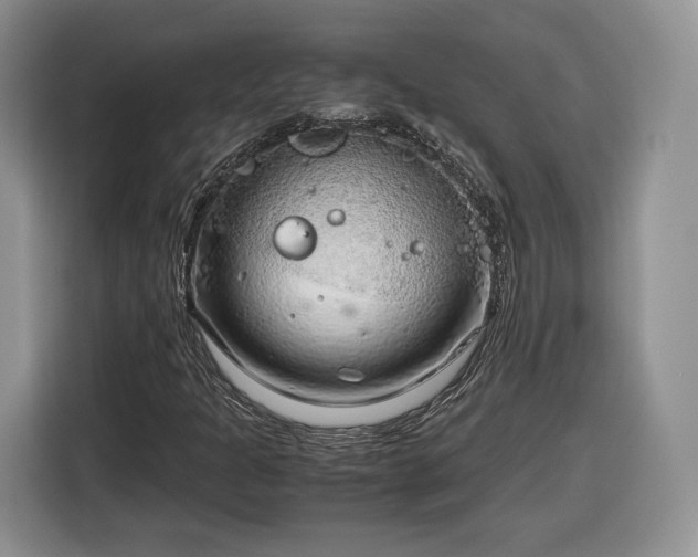 X0000116351301200912091121