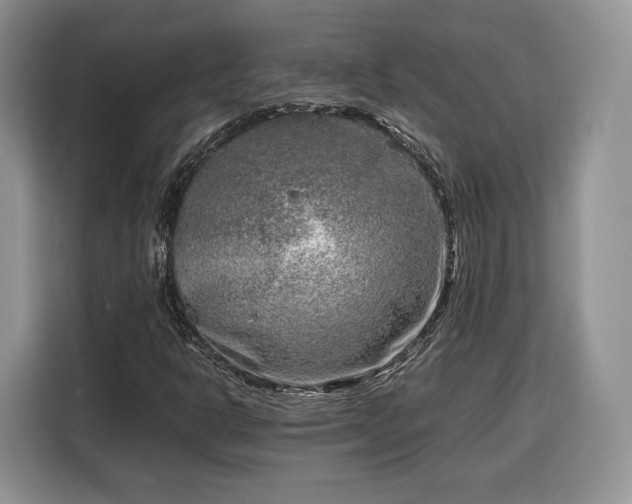 X0000116351302200912091121