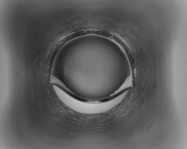 X0000116351303200912091121