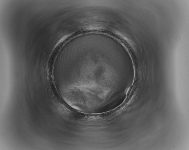 X0000116351306200912091122