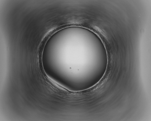 X0000116351307200912091122