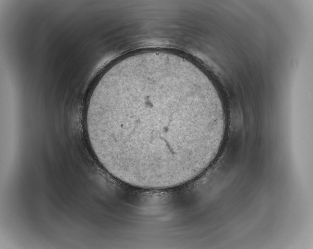 X0000116351314200912091122