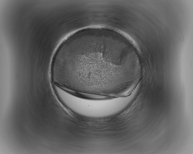 X0000116351327200912091122