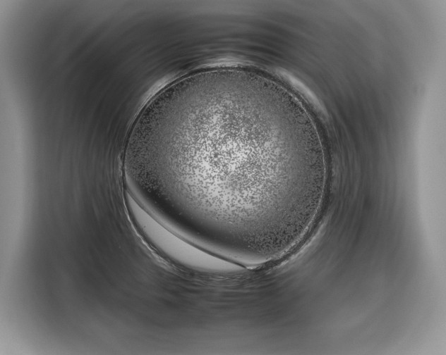 X0000116351329200912091122