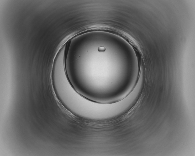 X0000116351330200912091122