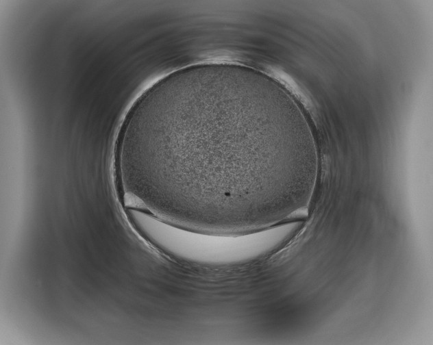 X0000116351331200912091122