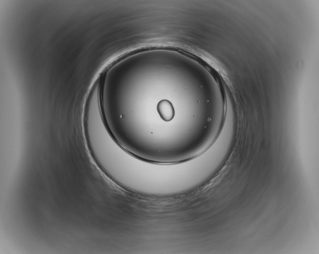 X0000116351334200912091122