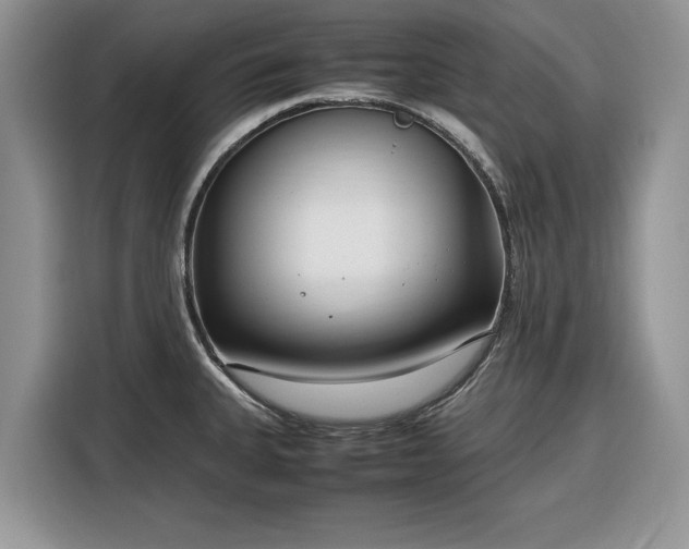 X0000116351335200912091122