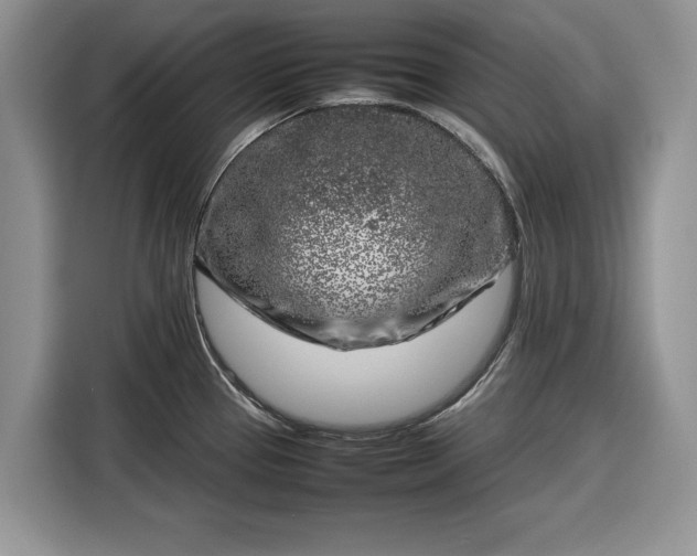 X0000116351337200912091122