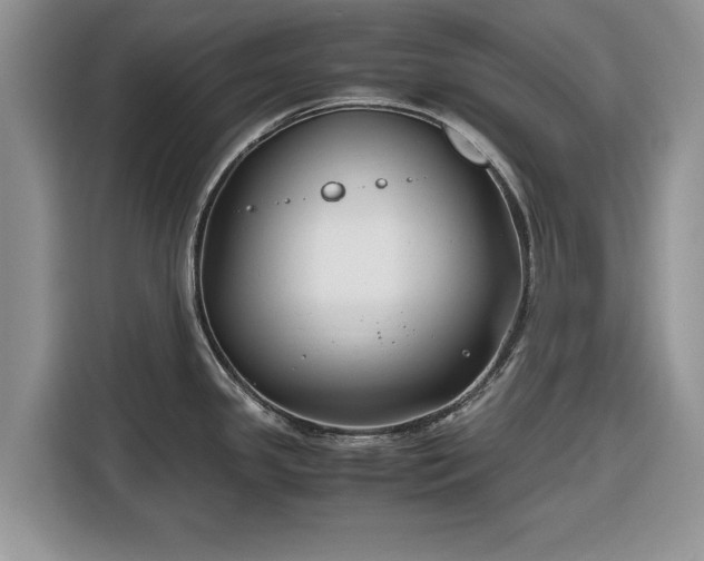 X0000116351341200912091122