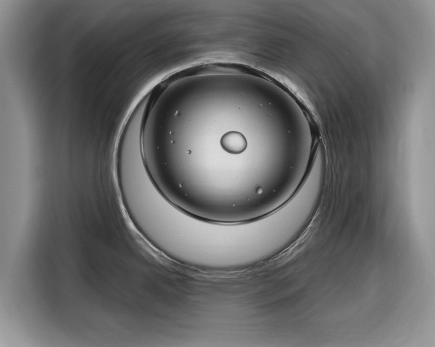 X0000116351342200912091122