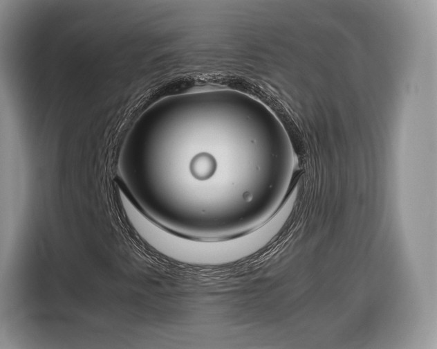 X0000116351345200912091121