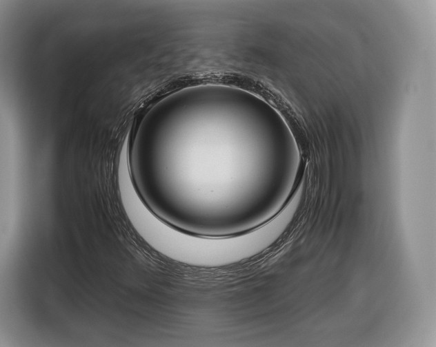 X0000116351348200912091121