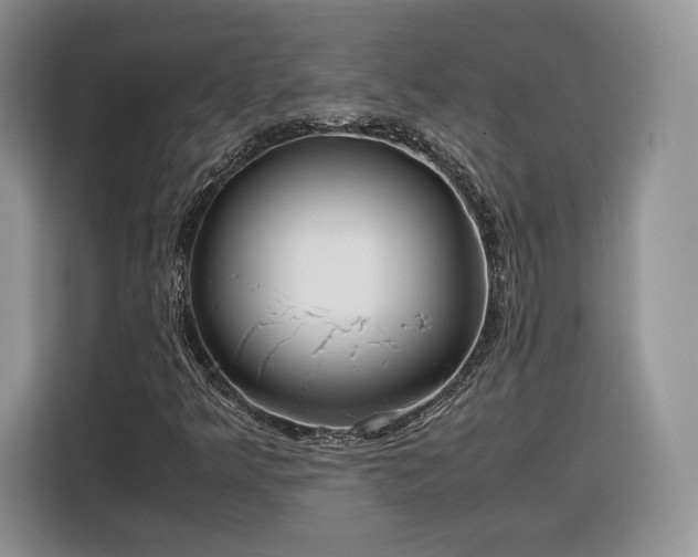 X0000116351349200912091121