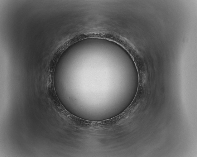 X0000116351350200912091121