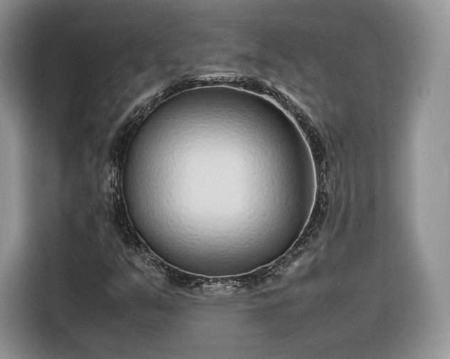 X0000116351351200912091121