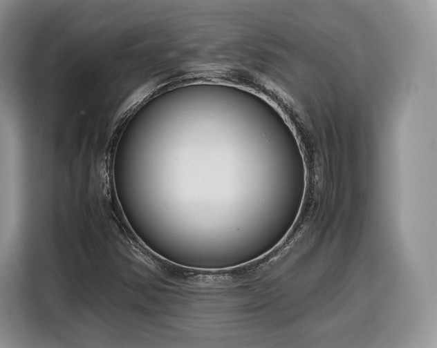 X0000116351354200912091121