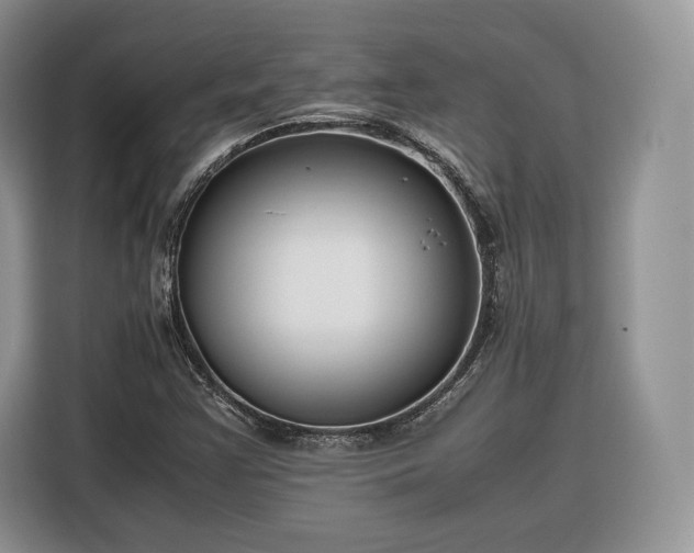 X0000116351355200912091121