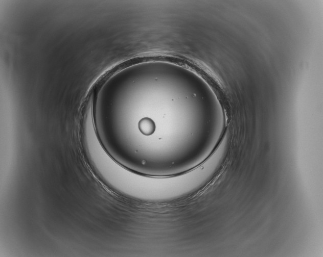 X0000116351356200912091121