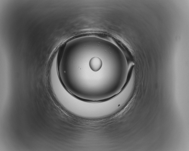 X0000116351357200912091121