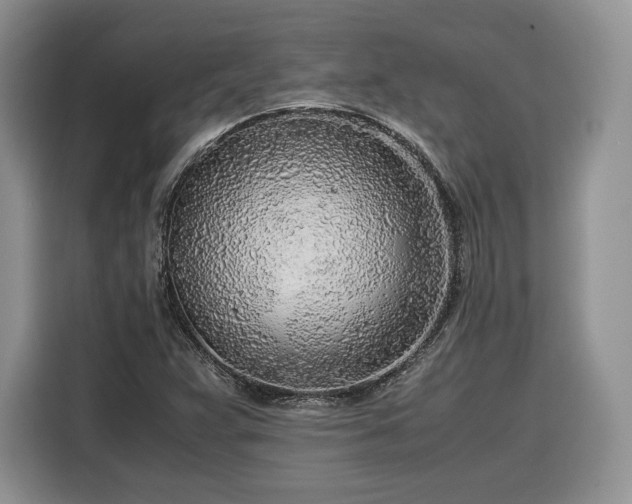 X0000116351359200912091121