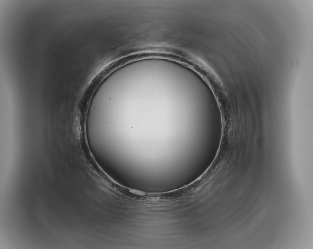 X0000116351360200912091121